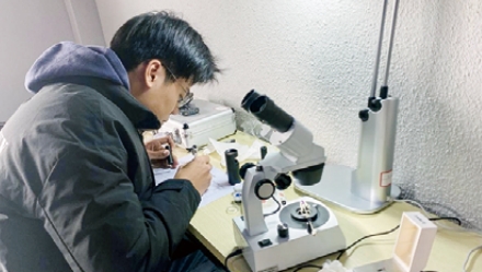 产品设计实训情况