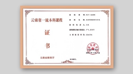 省级一流课程